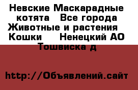 Невские Маскарадные котята - Все города Животные и растения » Кошки   . Ненецкий АО,Тошвиска д.